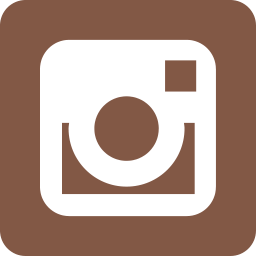 Instagram Icon